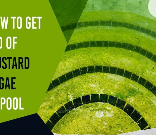 how to get rid - of mustard algae