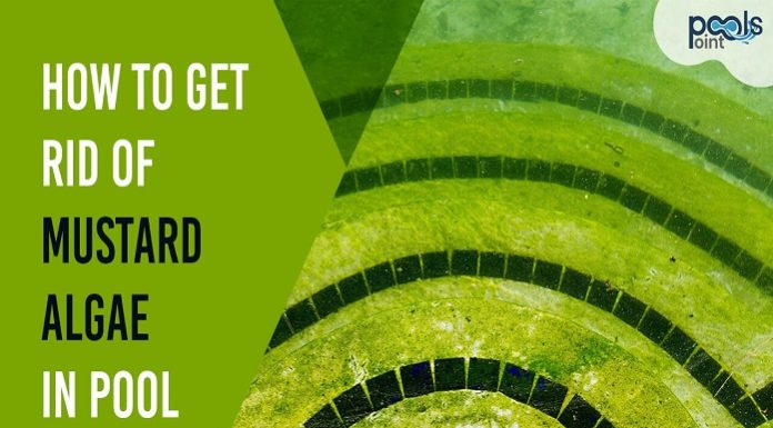 how to get rid - of mustard algae